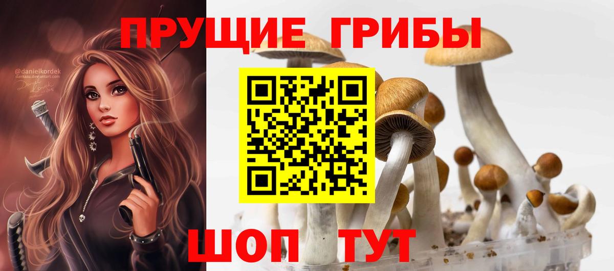 Галлюциногенные грибы мицелий  Вход с VPN  наркошоп  Долгопрудный 
